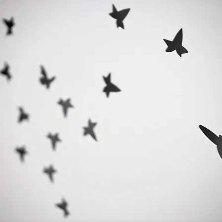 L'annexe Apolonia Montmartre